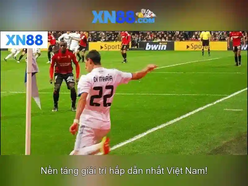 xn88 – Tổng quan và hướng dẫn sử dụng