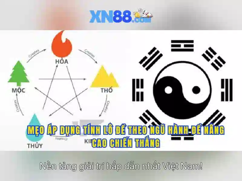 Lựa chọn và đánh giá người dùng