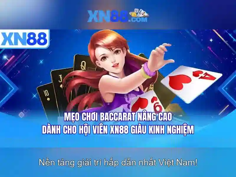 Xn88: Tổng quan về nền tảng và cộng đồng