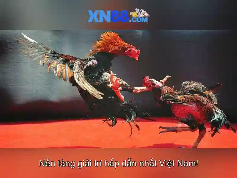 <!--IMG_PLACEHOLDER alt>Nguồn gốc và sứ mệnh xn88-->