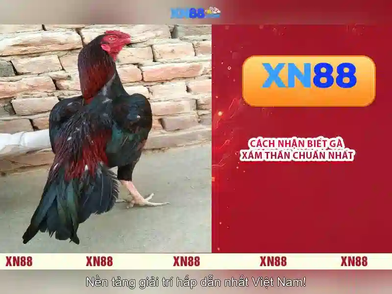 An toàn và quản lý tài khoản