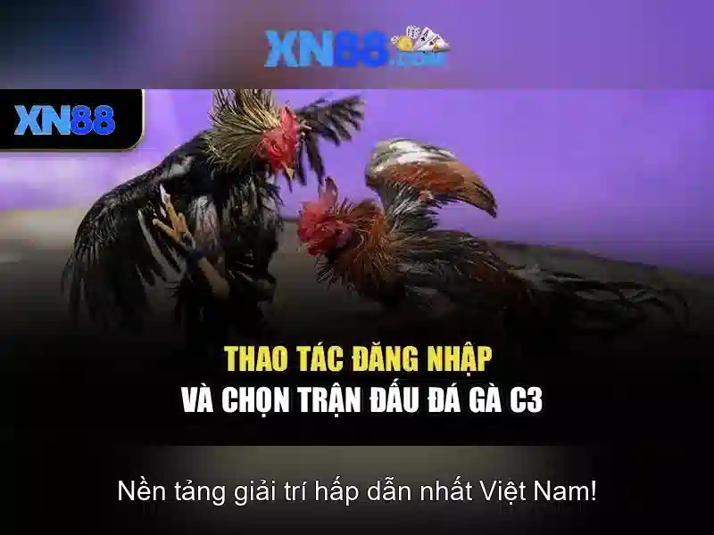 Giao diện nhà cái hoàn hảo