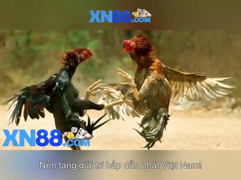 xn88: Nền tảng chơi game trực tuyến