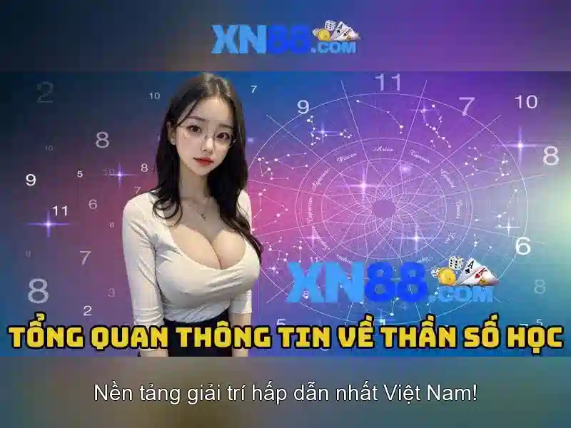 Giao diện và trải nghiệm người dùng