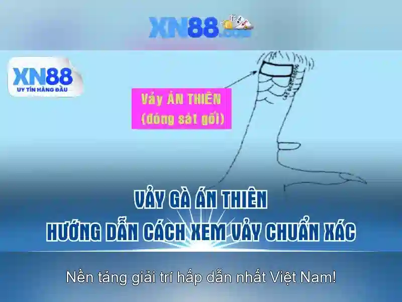 xn88. com – Trải nghiệm thương hiệu số và giá trị cốt lõi