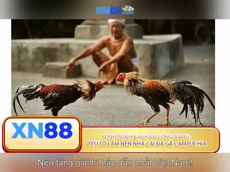 Giao diện nhà cái hoàn hảo