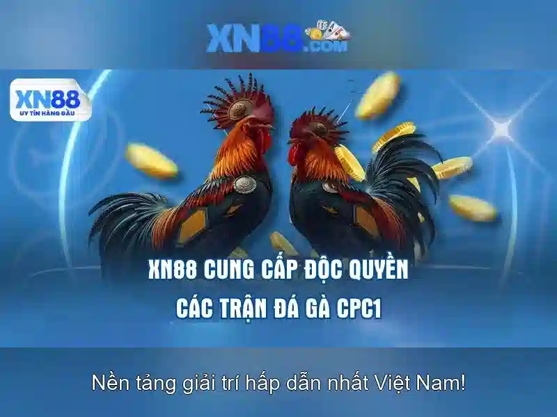 Tính năng nổi bật của xn88