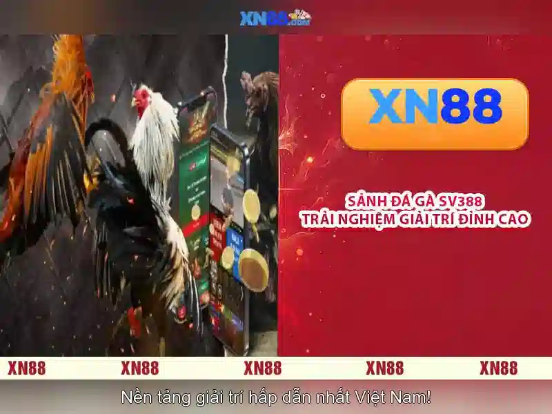 Giao diện người dùng và trải nghiệm di động