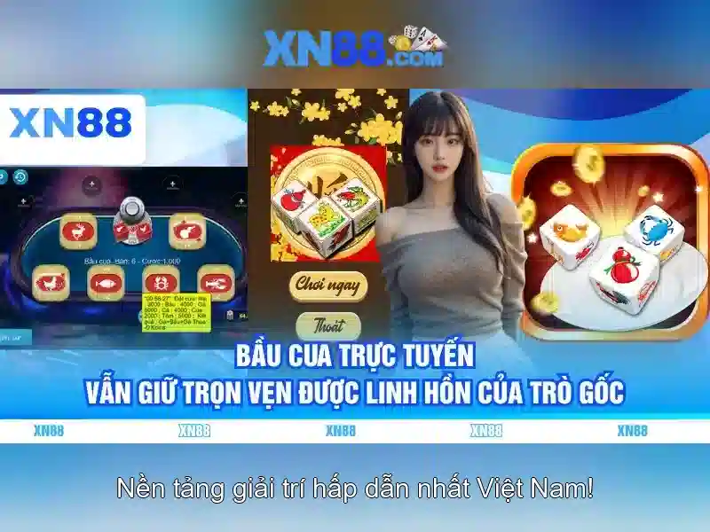 Nội dung và chức năng