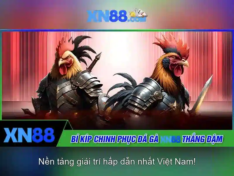 Giới thiệu về xn88 và các yếu tố nổi bật